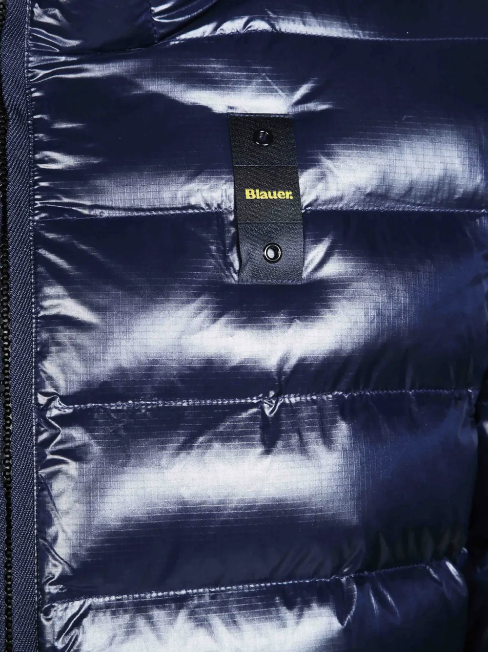 Blauer Adams donsjack met capuchon Blauw