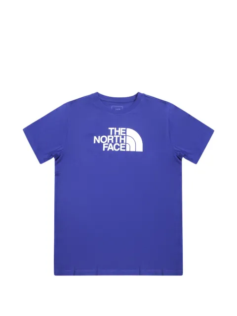 The North Face Kids Evolution Half Dome T-shirt