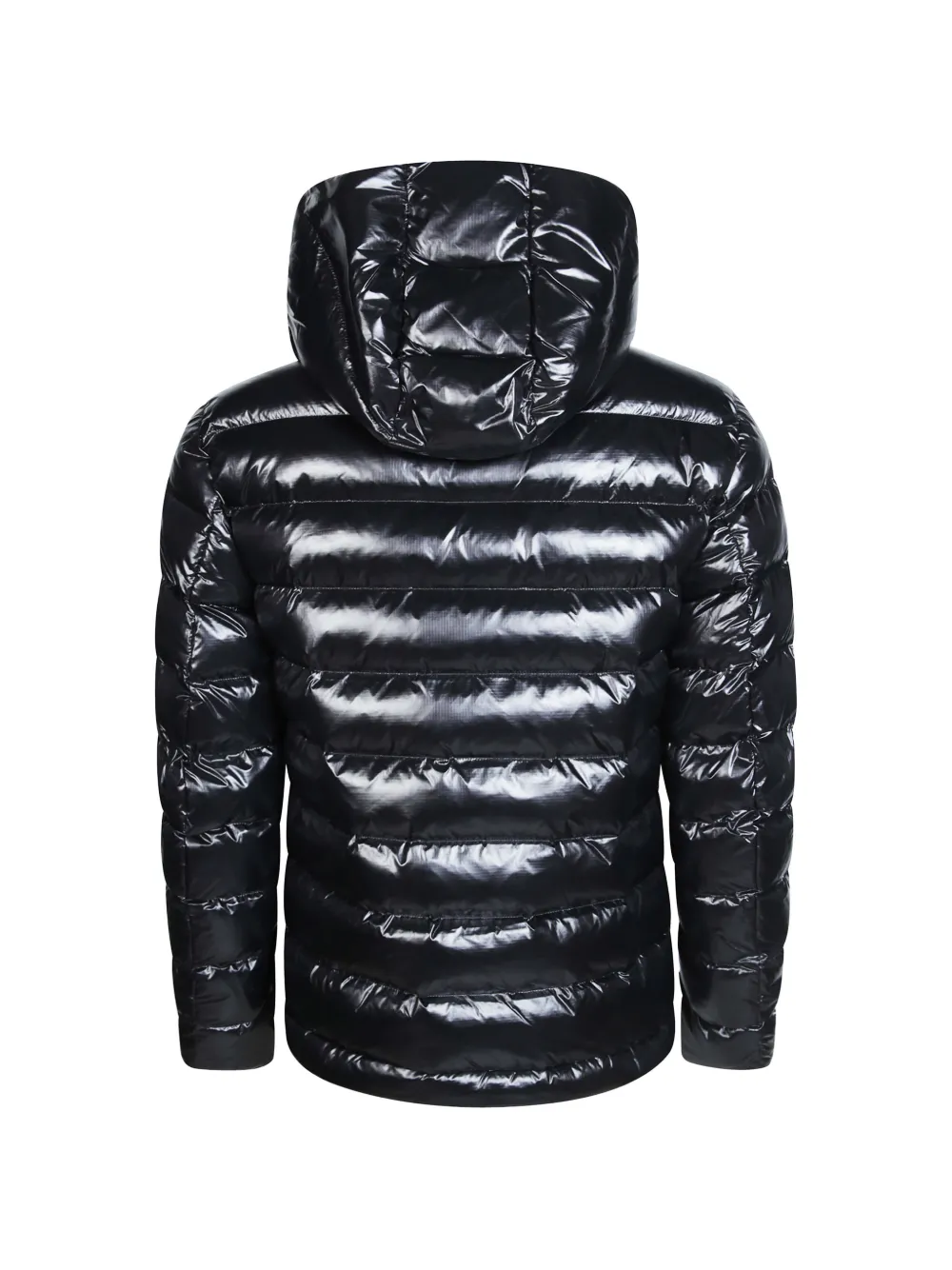Blauer Adams donsjack met capuchon Zwart