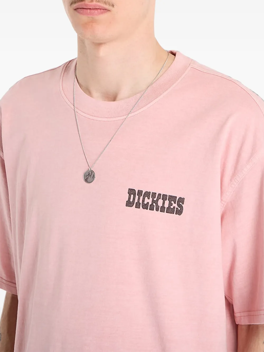 DICKIES Buchtell T-shirt met grafische print Roze