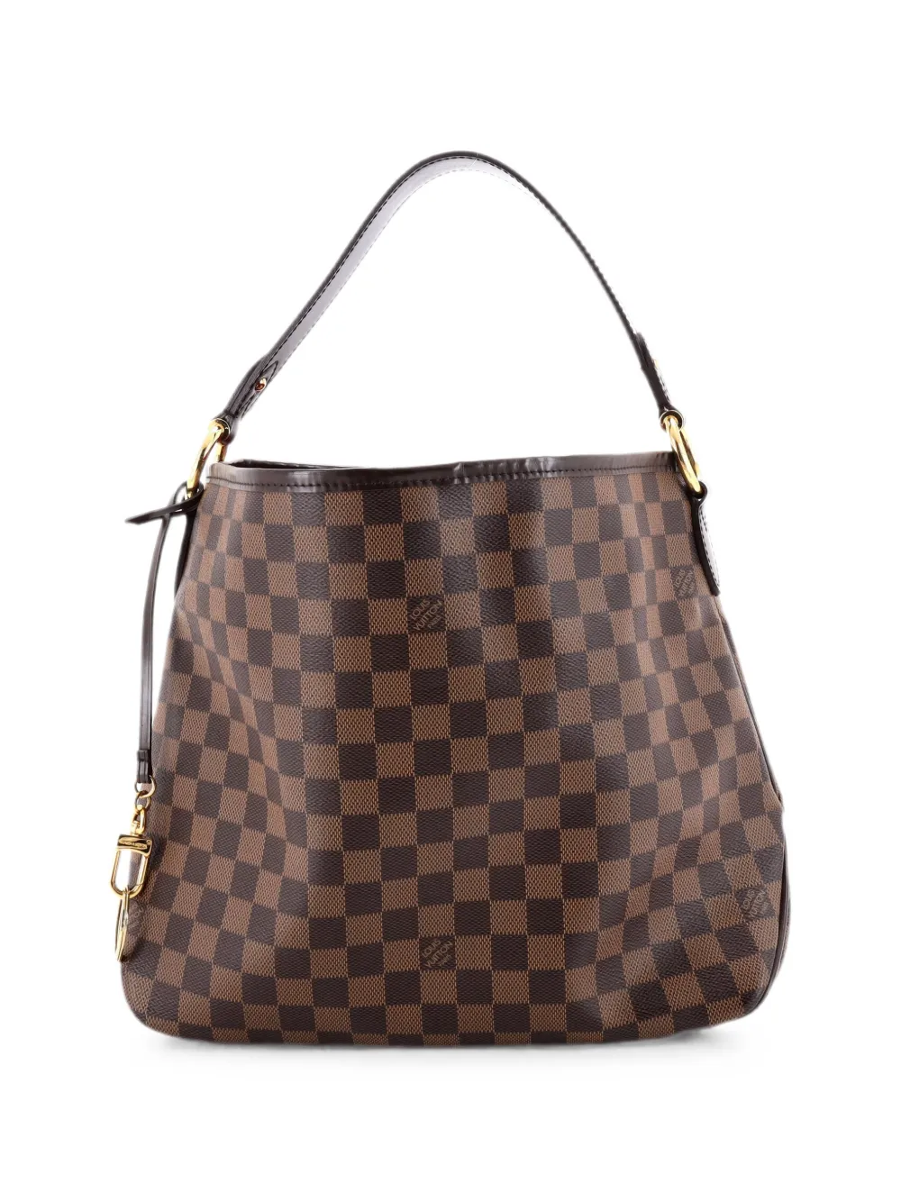 Louis Vuitton Pre-Owned Delightful NM Handbag Damier PM hobo bag - Brown