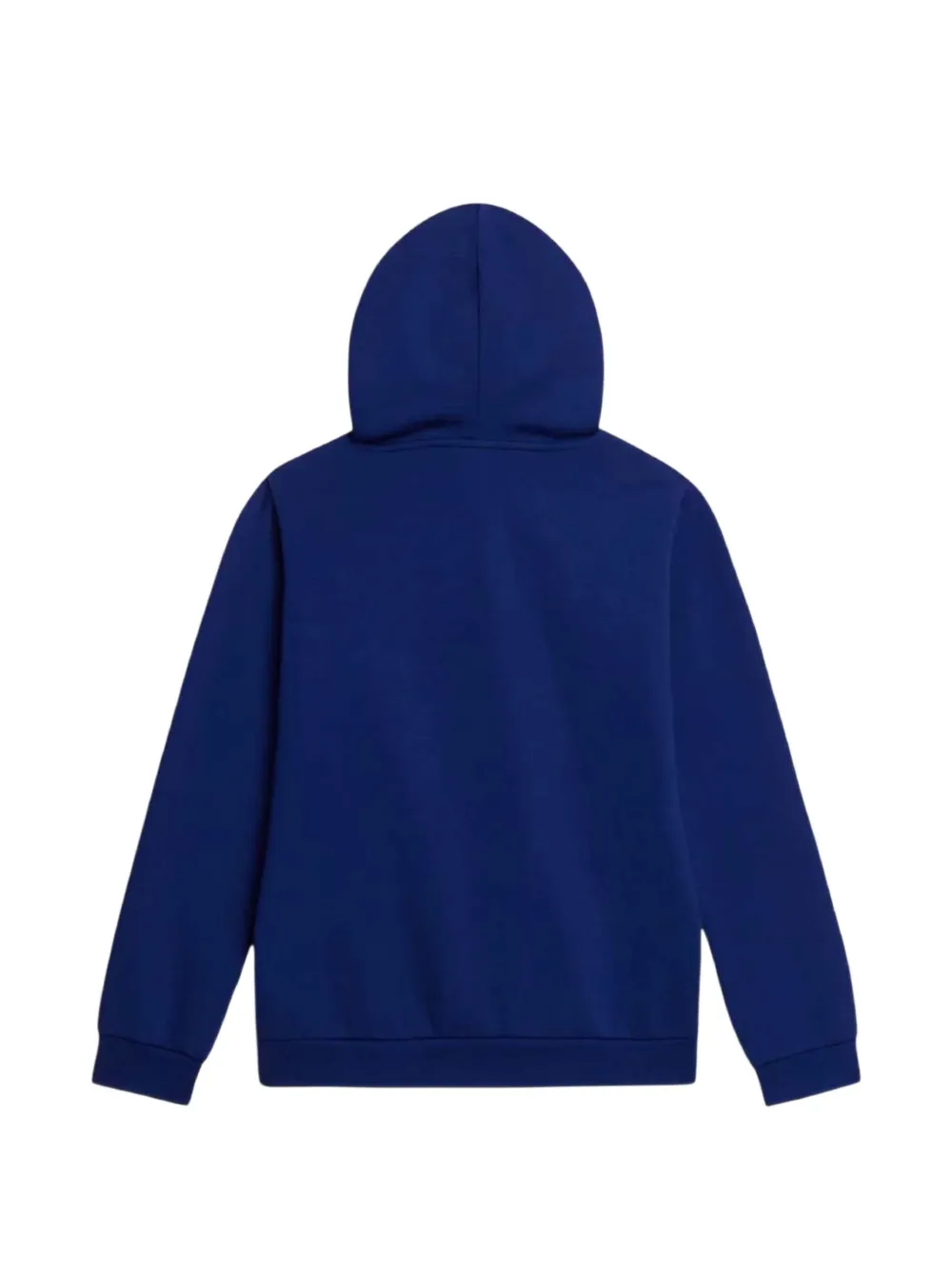The North Face Kids Evolution Simple Dome hoodie Blauw