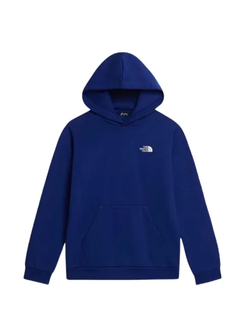 The North Face Kids Evolution Simple Dome hoodie