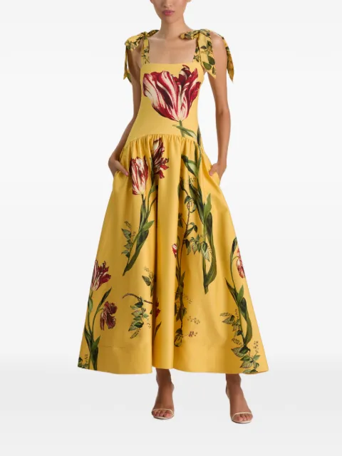 alice + olivia tulip-print tie-shoulder maxi dress