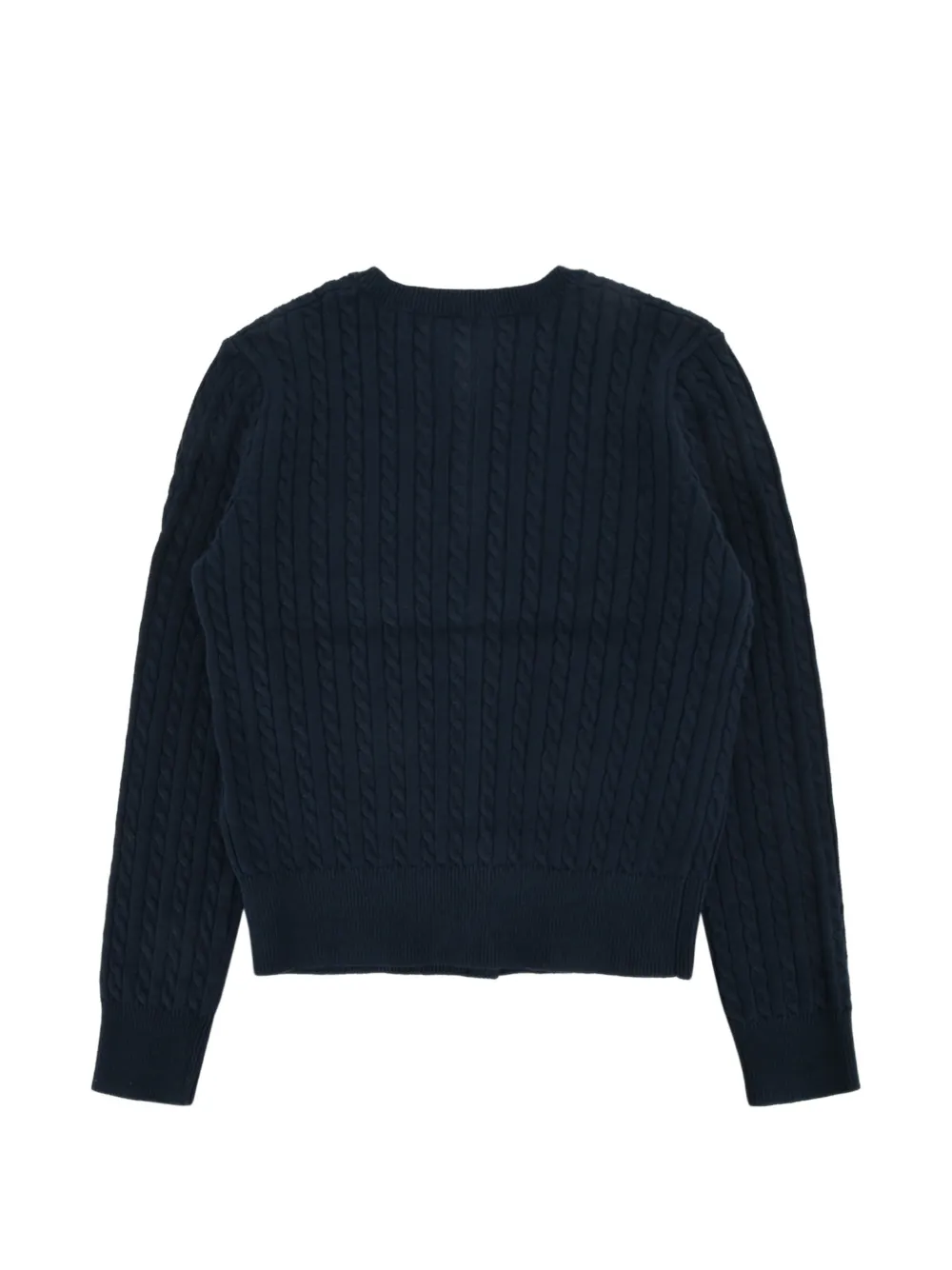 POLO RALPH LAUREN KIDS Kabelgebreid vest Blauw