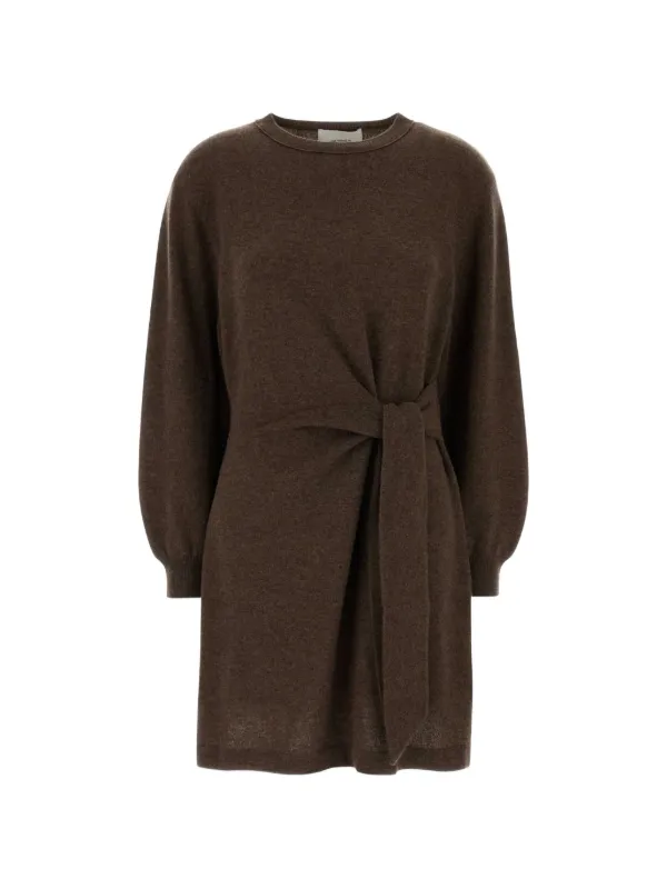 Lisa Yang Abrielle Tie-waist Mini Dress in Brown