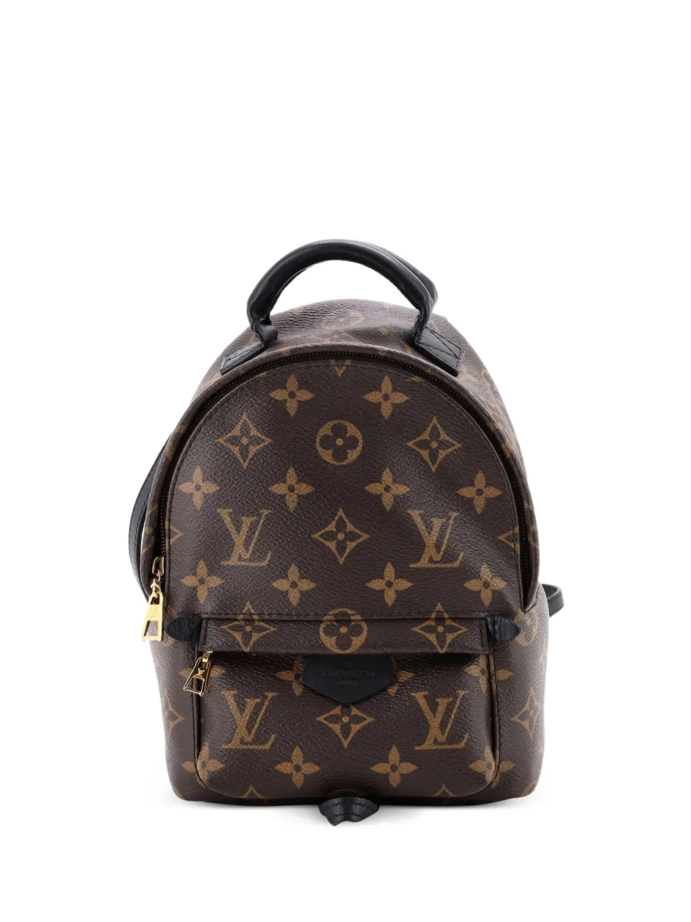 Louis Vuitton Pre-Owned Palm Springs MM Ruckcack aus Monogramm-Canvas - Braun