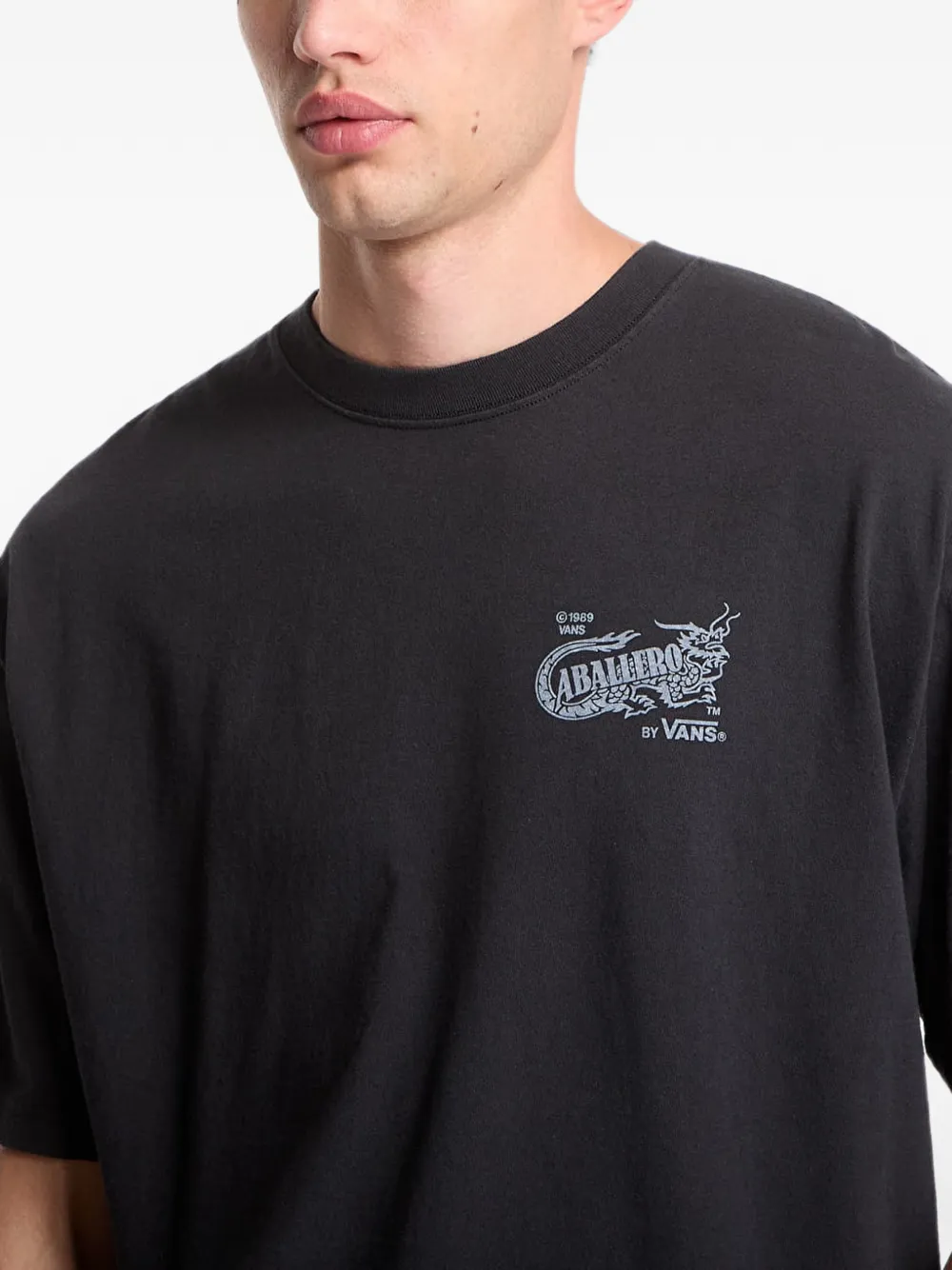 Vans T-shirt met grafische print Zwart