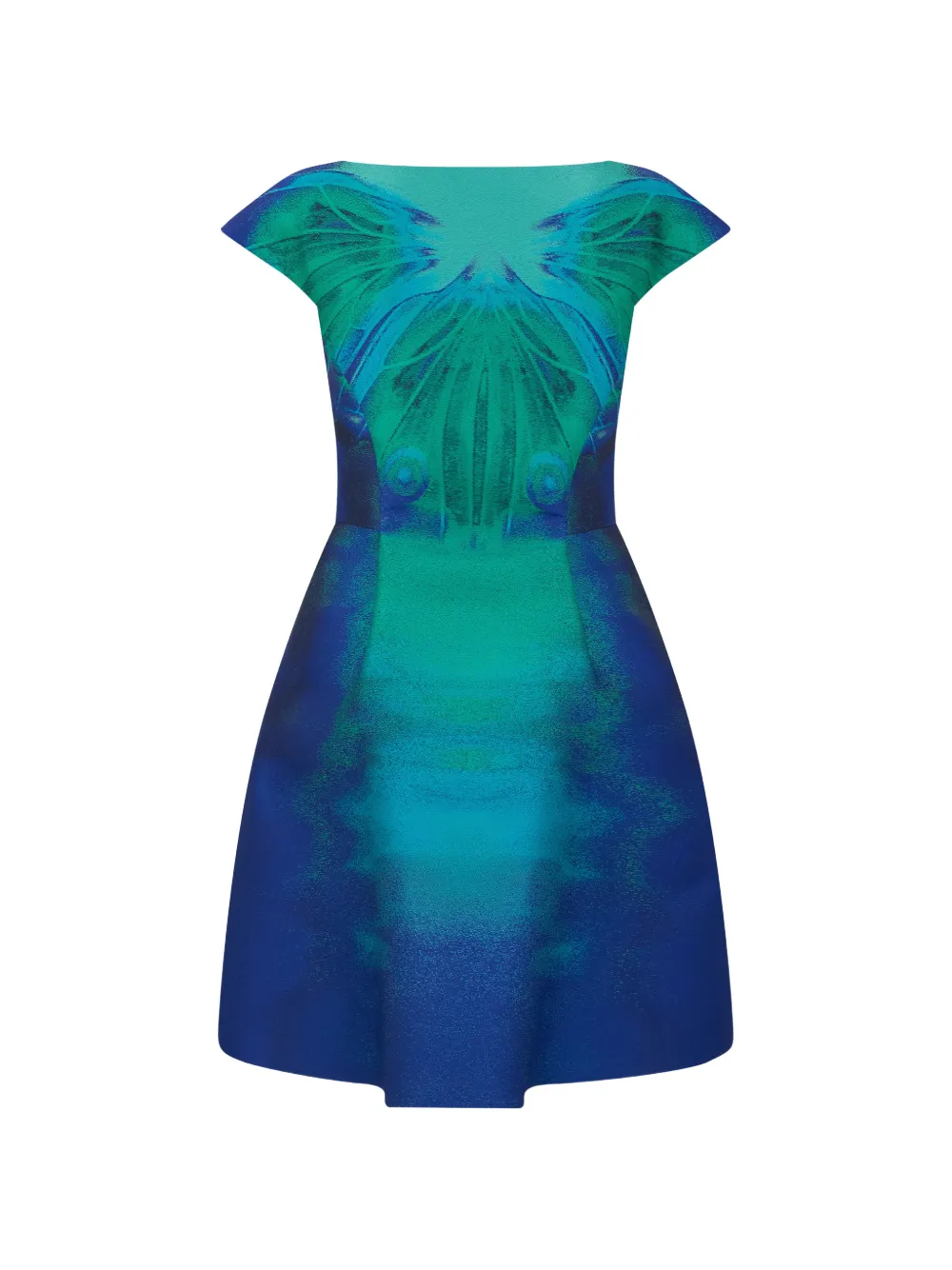 Alberta Ferretti Trapeze mini-jurk met print Blauw