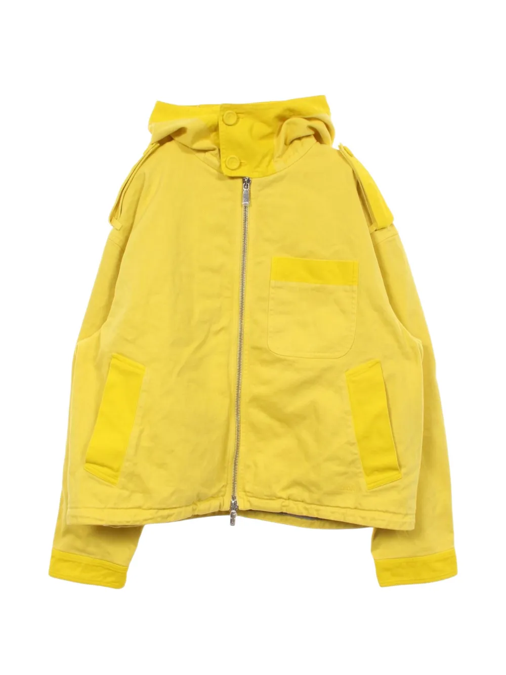 Christian Dior Pre-Owned x Peter Doig hooded jacket - Yellow