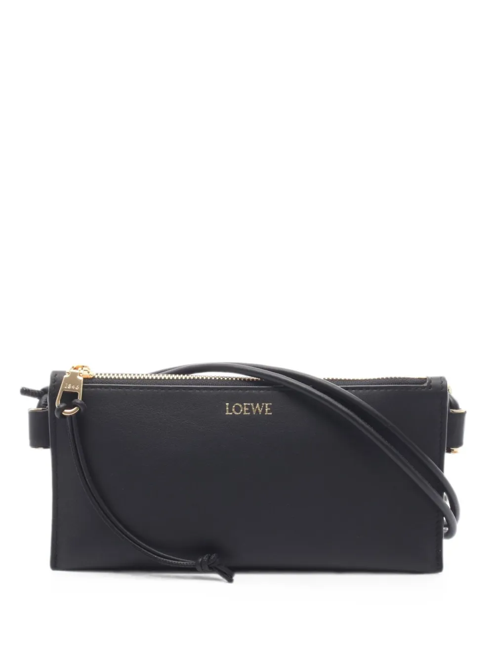 Loewe Pre-Owned Hoya Pouch shoulder bag - Schwarz