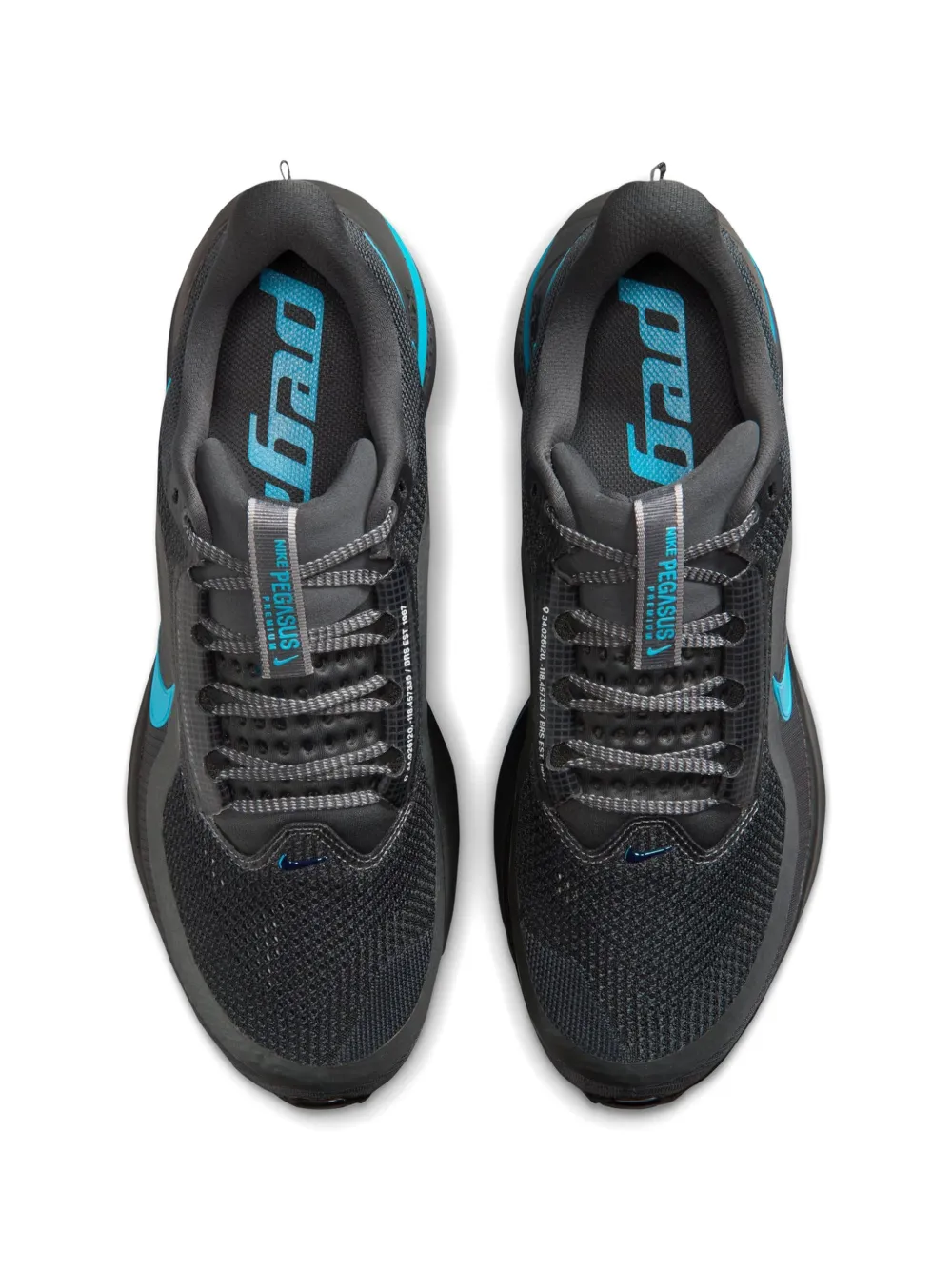 Nike Pegasus Premium sneakers Grijs