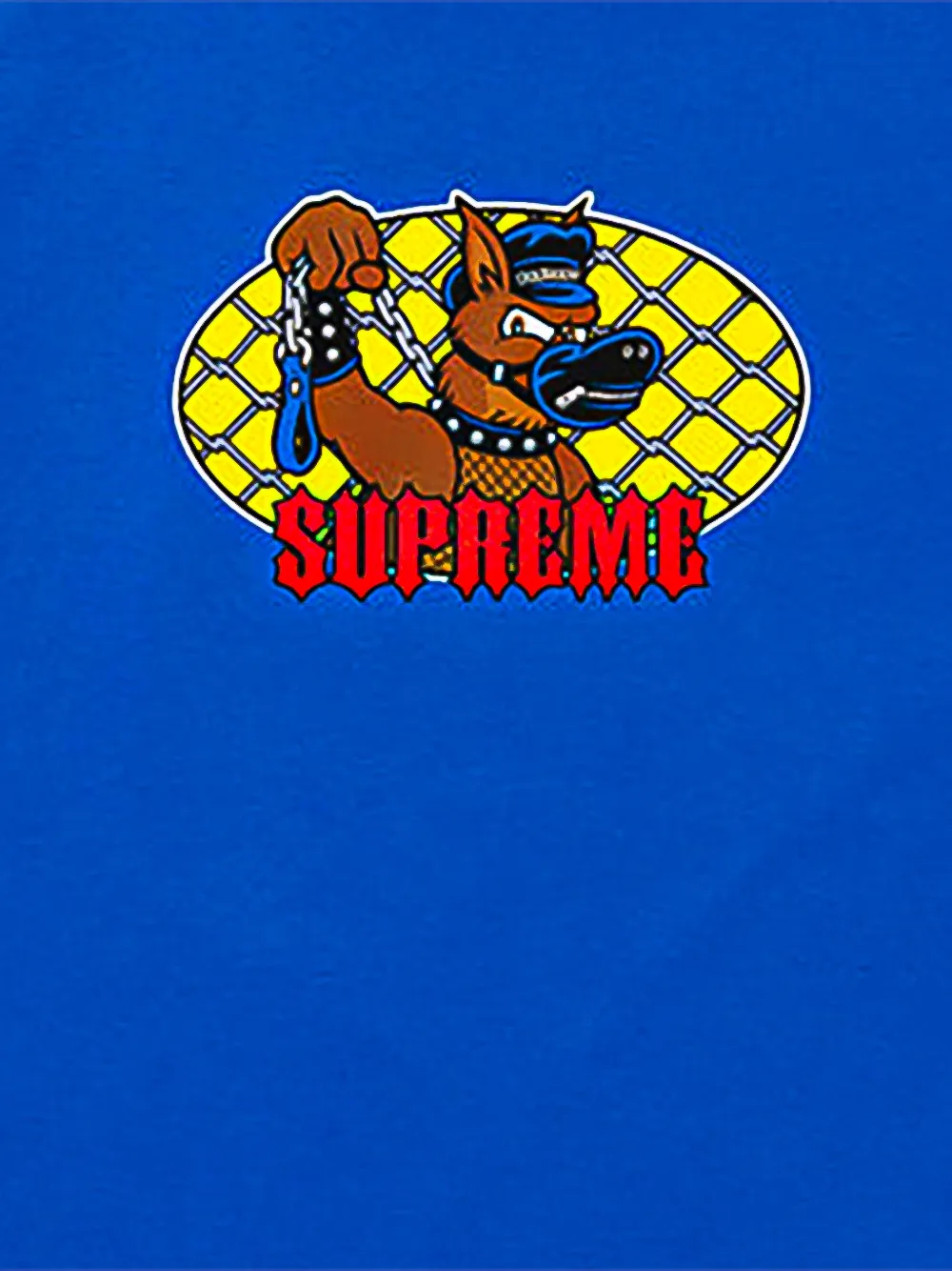 Supreme T-shirt met grafische print Blauw