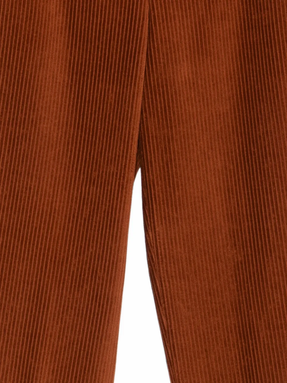 Circolo 1901 Ribfluwelen broek Bruin