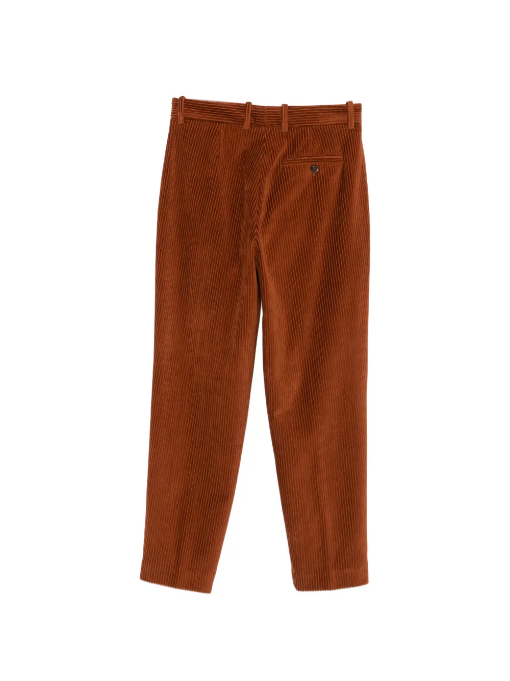 Circolo 1901 Ribfluwelen broek Bruin