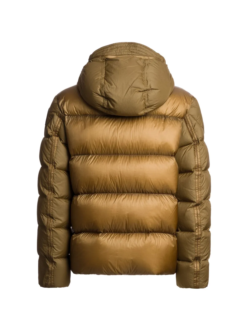 Parajumpers Notigi donsjack met capuchon Groen