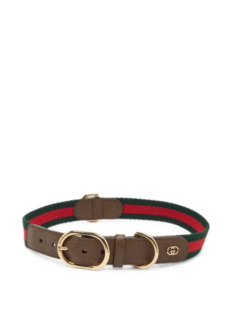 Gucci Pre-Owned Web Demetra 皮质宠物项圈