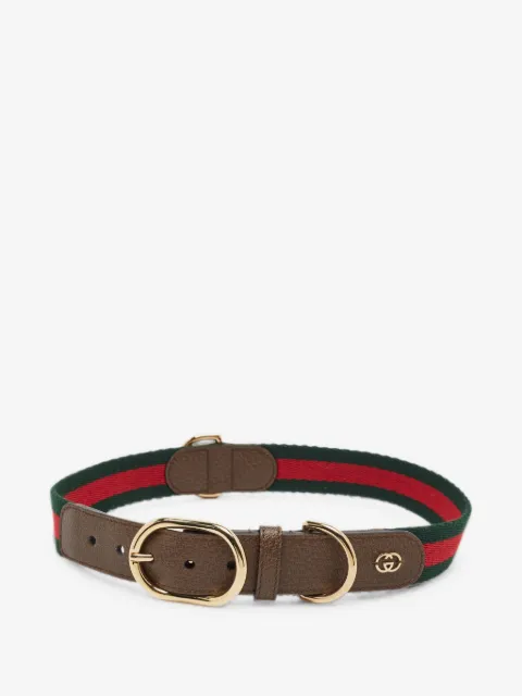 Gucci Pre-Owned ياقة حيوان أليف جلد 'ويب ديميترا'