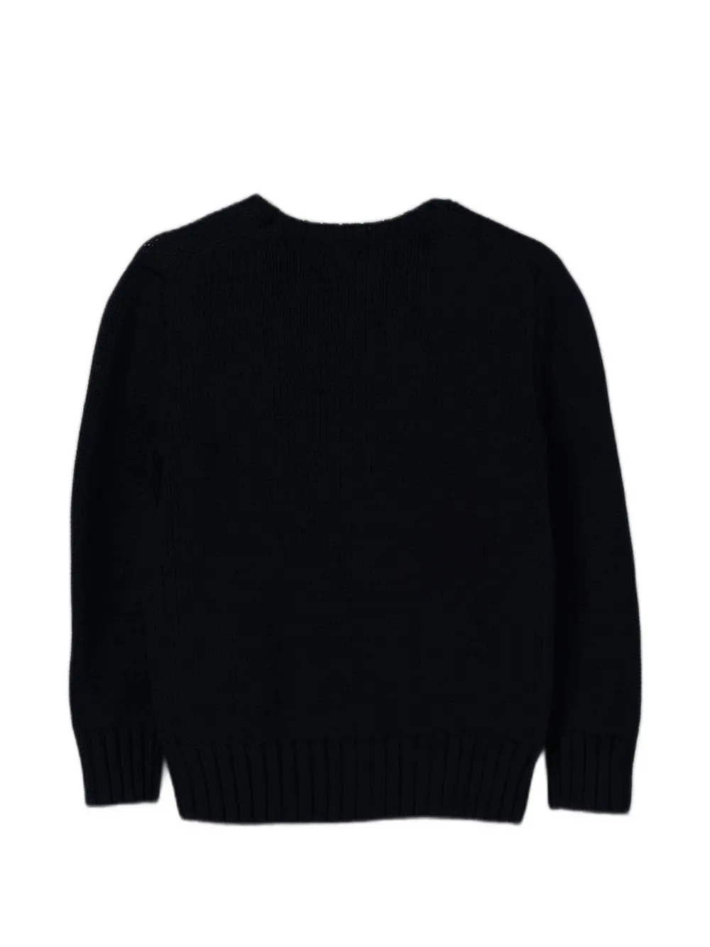 POLO RALPH LAUREN KIDS Katoenen trui met vlag-intarsia Blauw