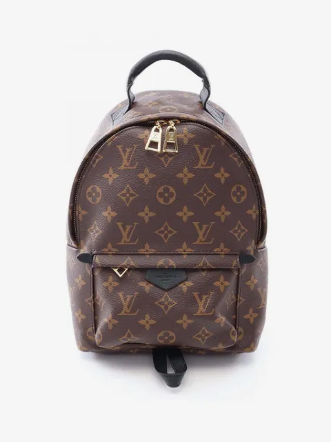 Louis Vuitton Pre-Owned 2019 Monogram Palm Springs PM backpack