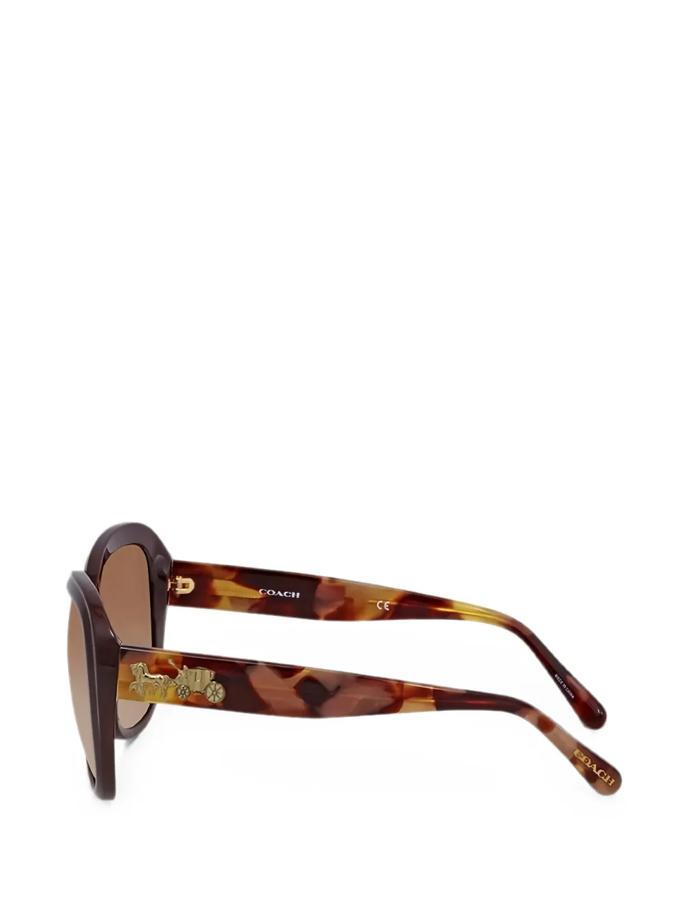 Coach Oversize-frame Sunglasses In Multi
