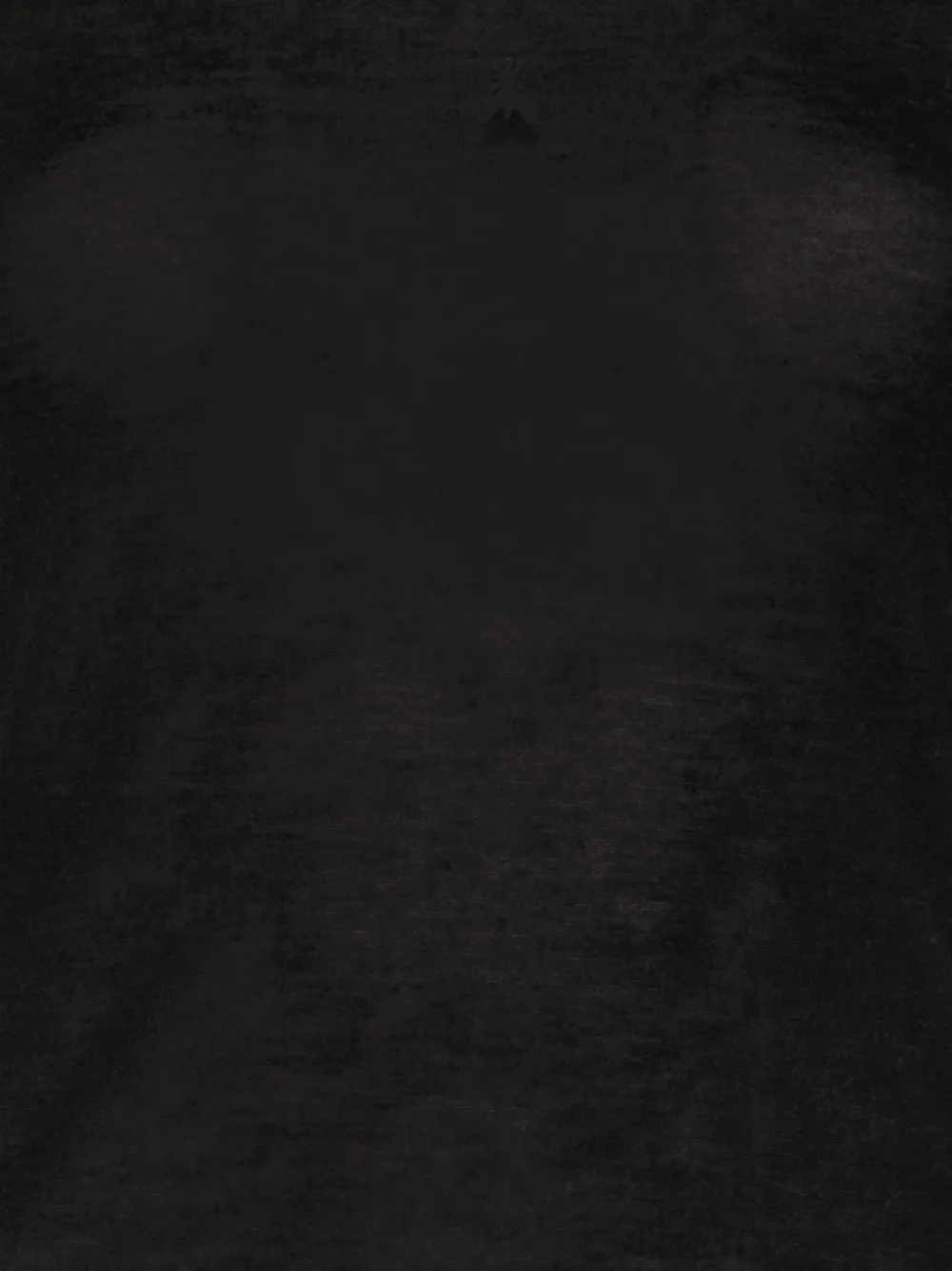 Patrizia Pepe semi-sheer long-sleeve top Zwart