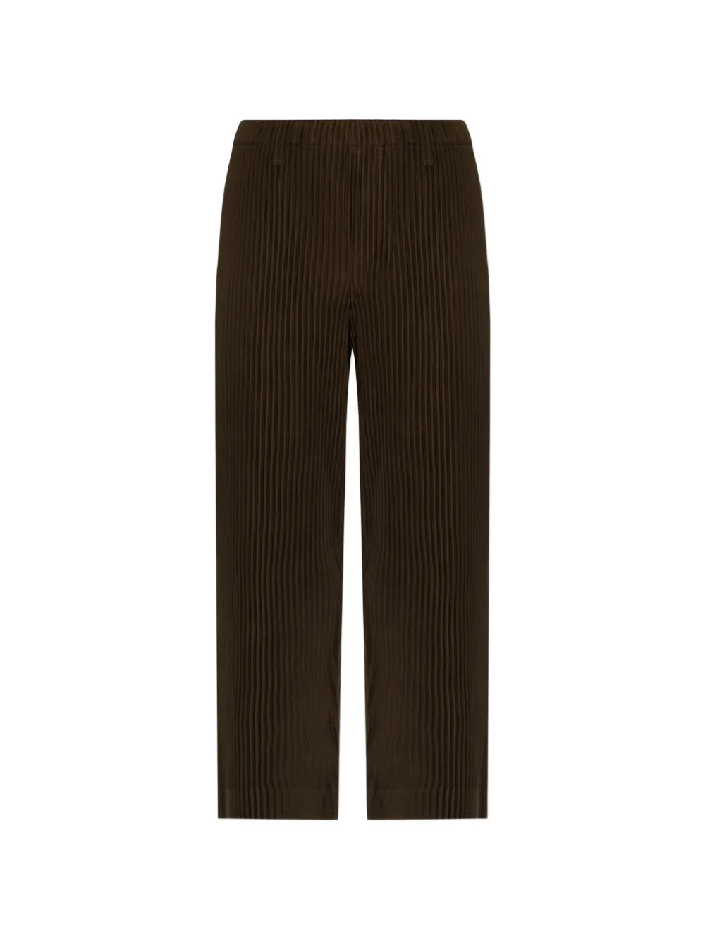 Issey Miyake Pleated Trousers In Brown