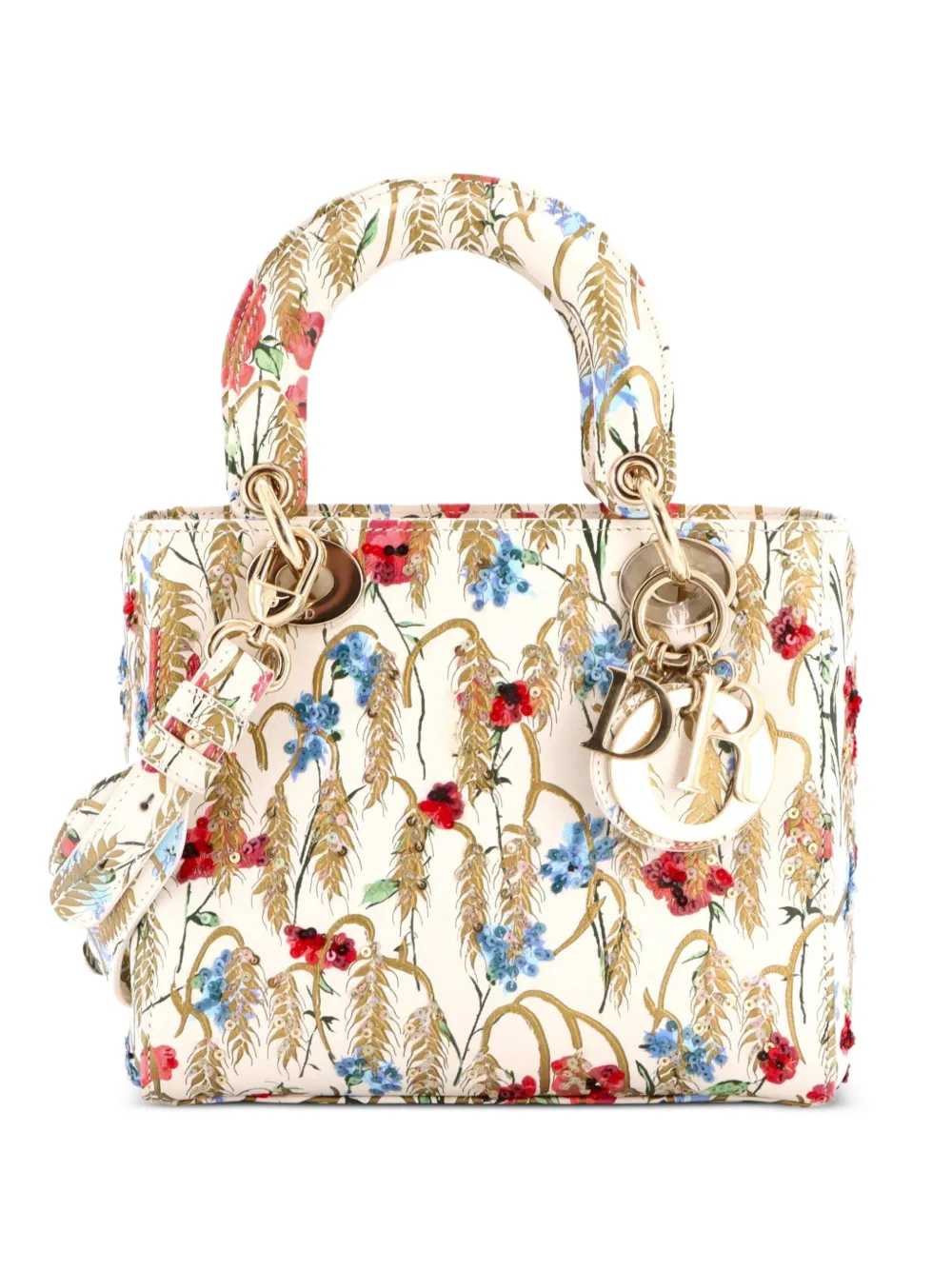 Christian Dior Pre-Owned My ABCDior Lady Dior Bag Embroidered Printed Leather satchel - Multicolore