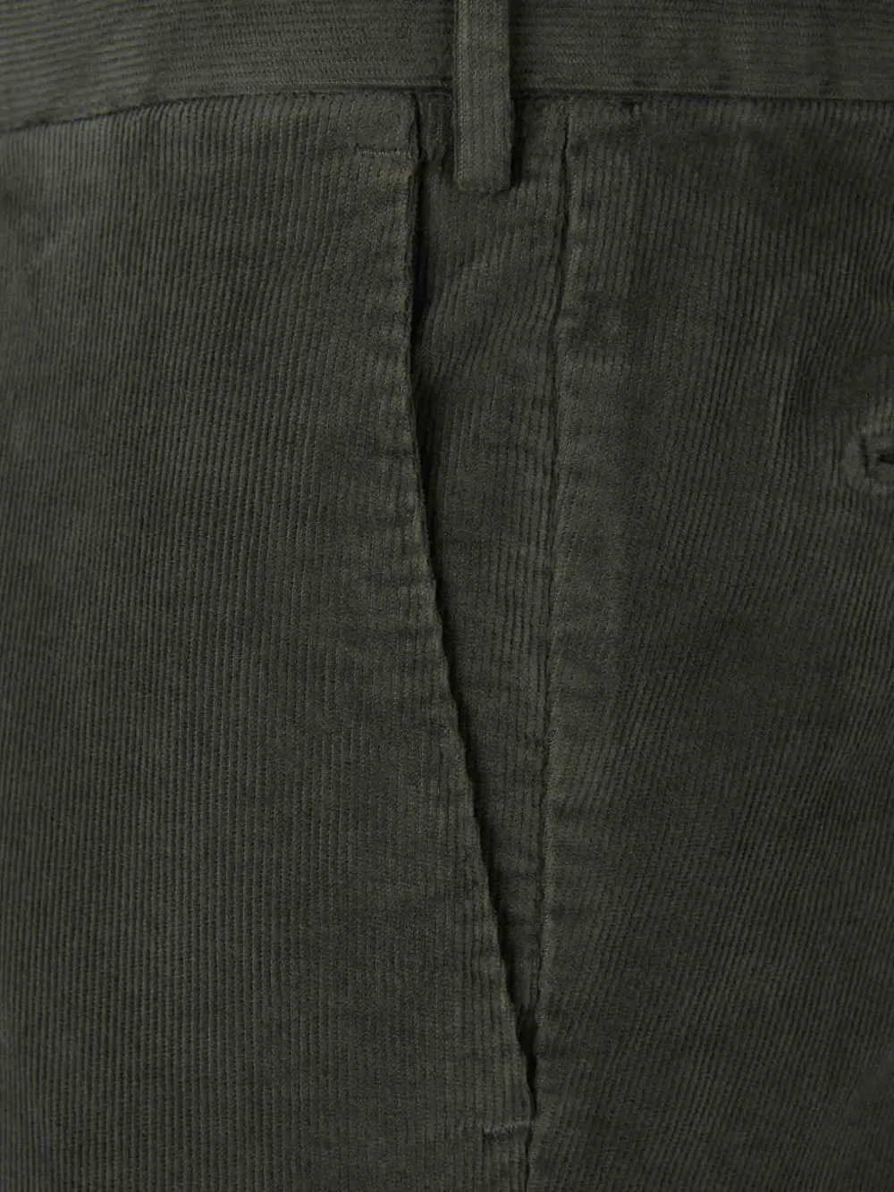 PT Torino Ribfluwelen broek Groen