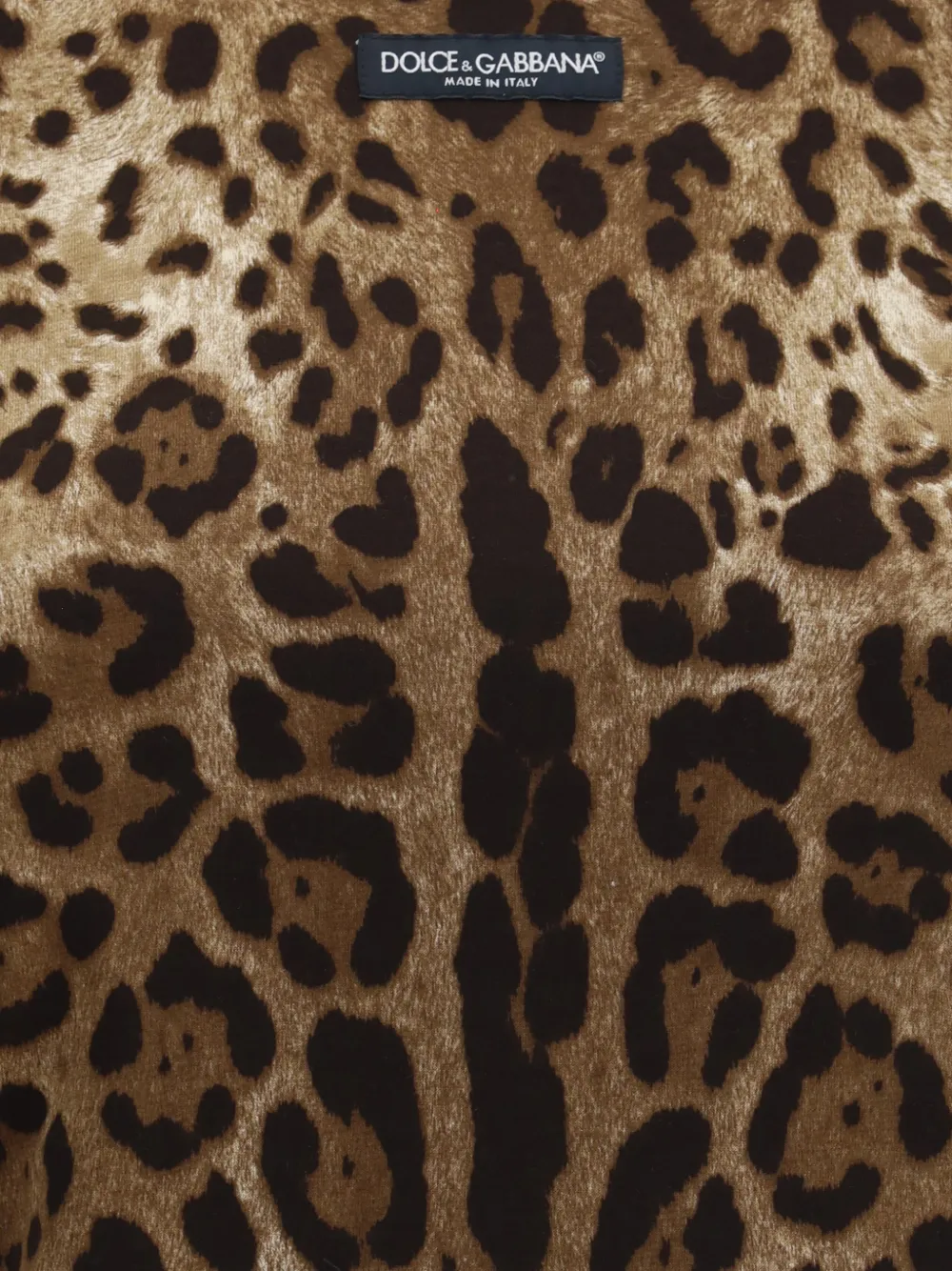 Dolce & Gabbana T-shirt met luipaardprint Bruin