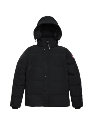 Canada Goose