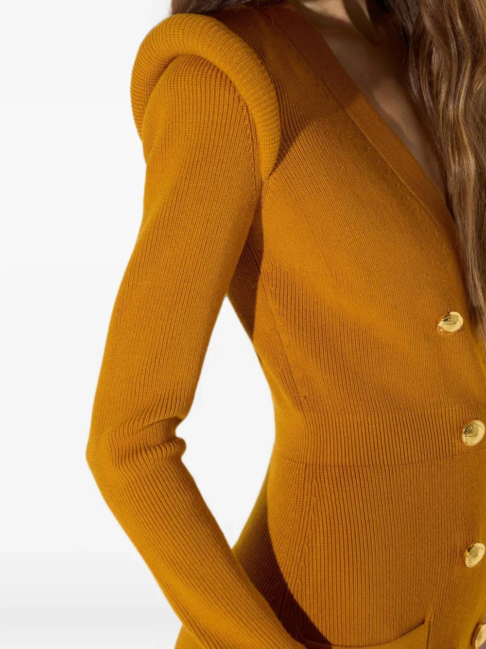 Elisabetta Franchi Gebreide mini-jurk met 3D-details Geel
