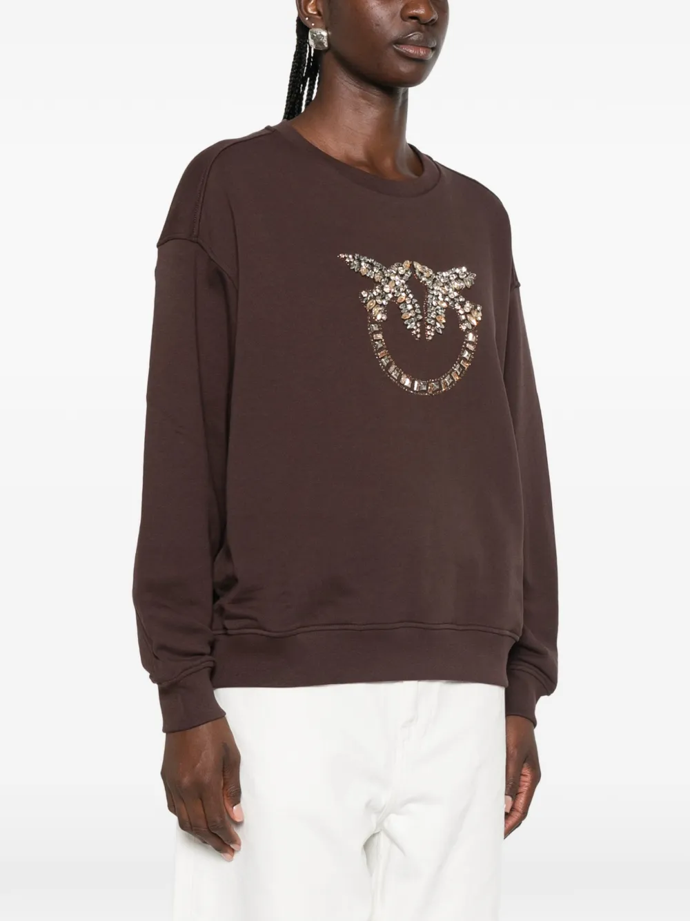 PINKO Love Birds trui verfraaid met kristallen Bruin