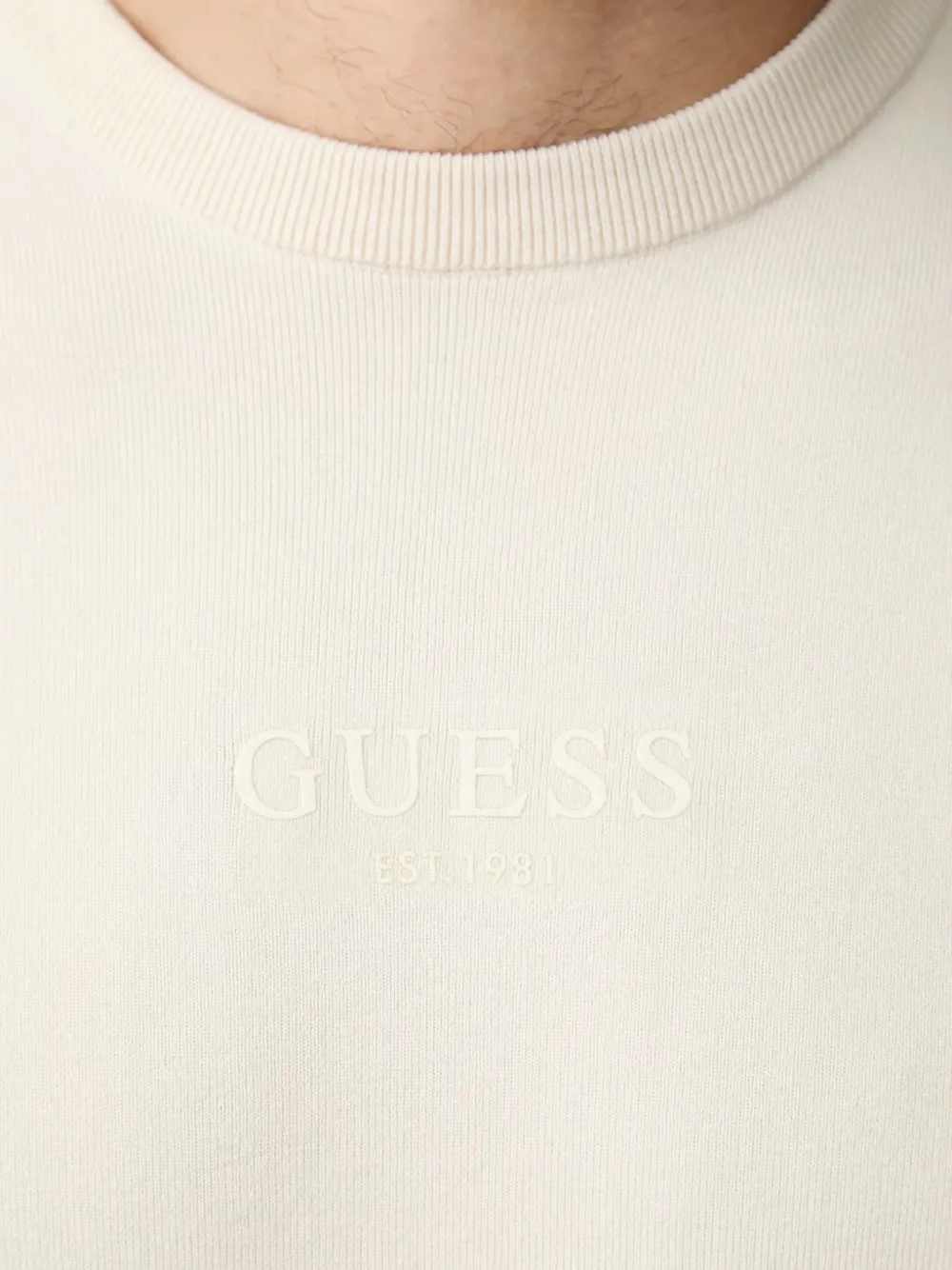 GUESS USA Trui met geborduurd logo en ronde hals Beige