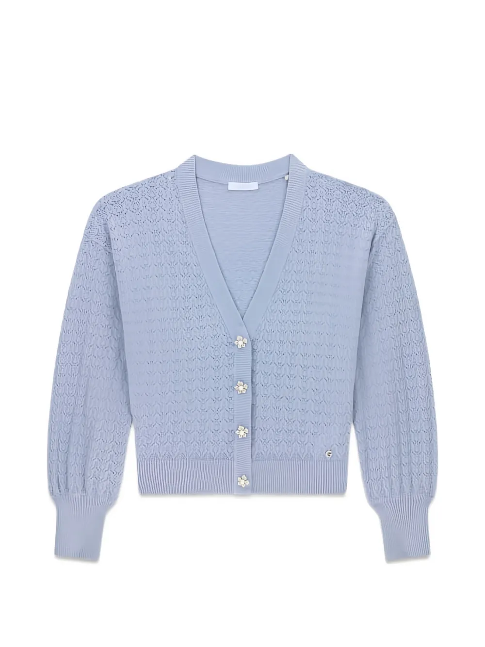 GUESS USA Pointelle gebreid vest verfraaid met kristallen Blauw