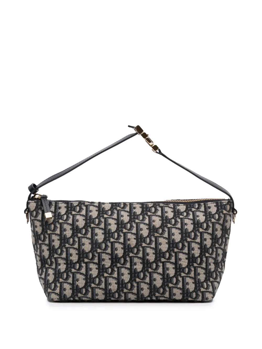 Christian Dior Pre-Owned 2024 Medium Oblique Canvas Diortravel Nomad Pouch handbag - Blau