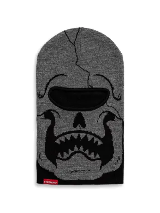Sprayground