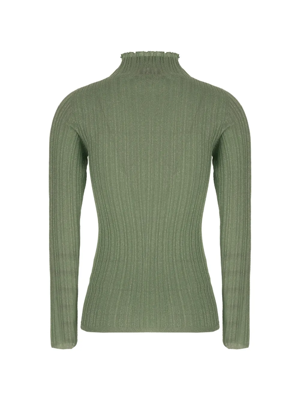 Fabiana Filippi ribbed-knit roll-neck sweater Groen