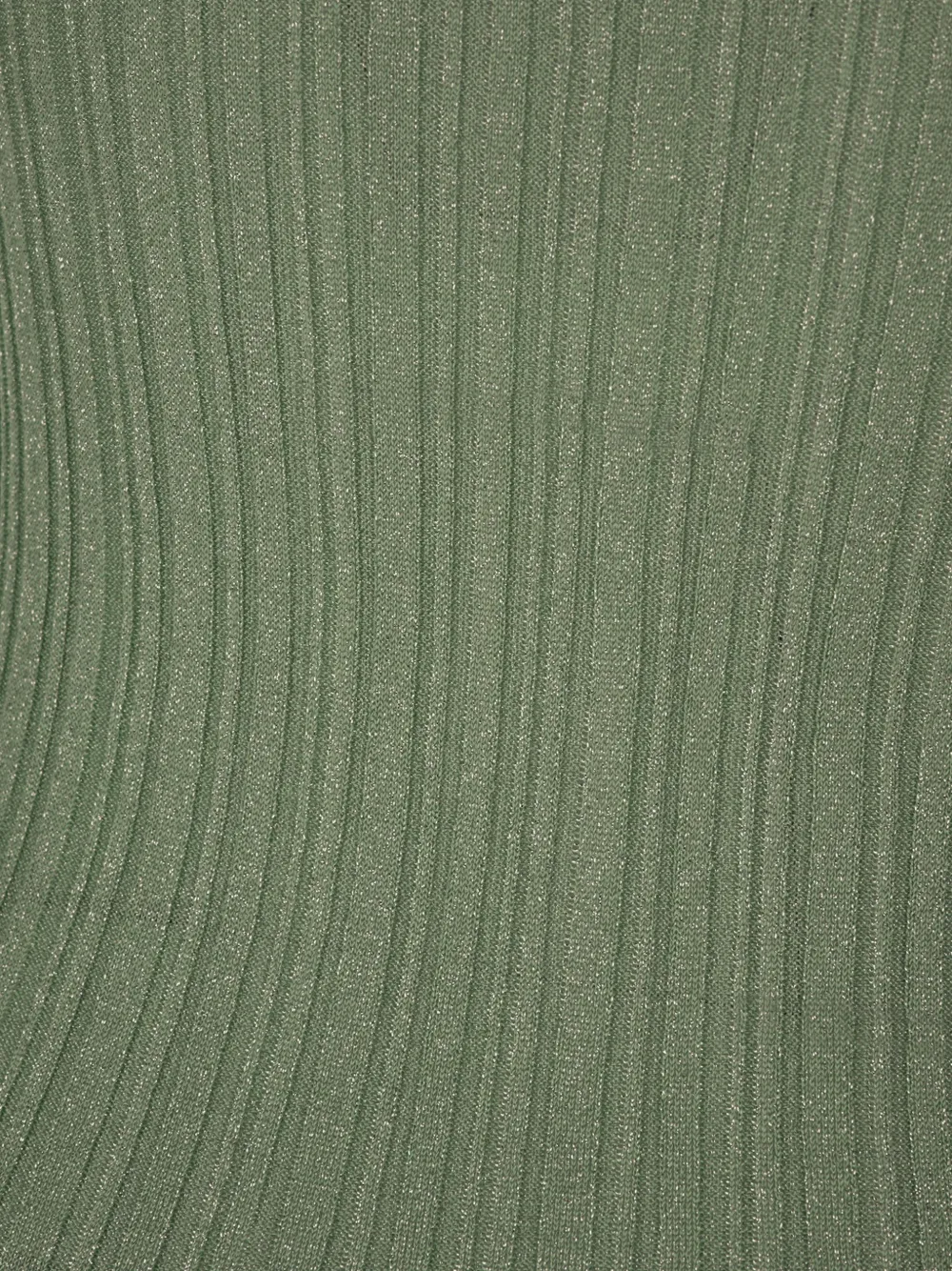 Fabiana Filippi ribbed-knit roll-neck sweater Groen