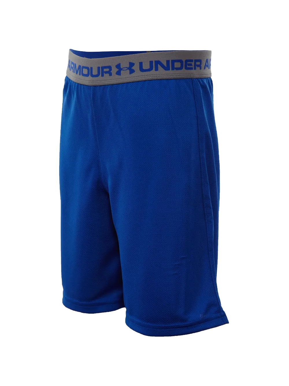 Under Armour Shorts met logoprint Blauw