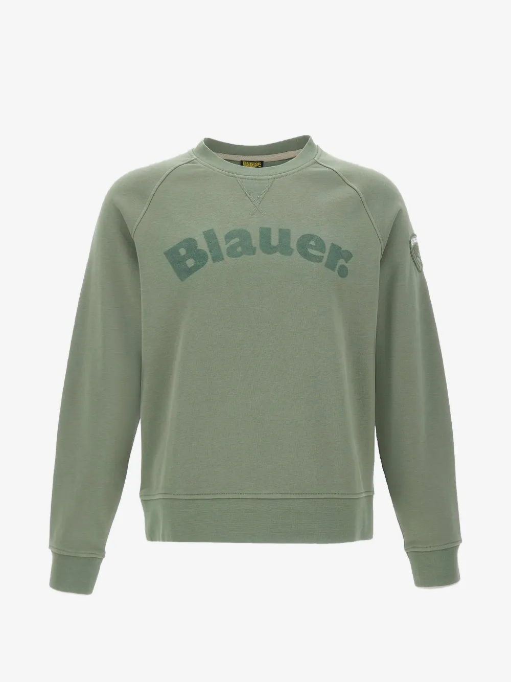 Blauer سويتر بأكمام رغلان وطبعة شعار الماركة | أخضر | Image 1