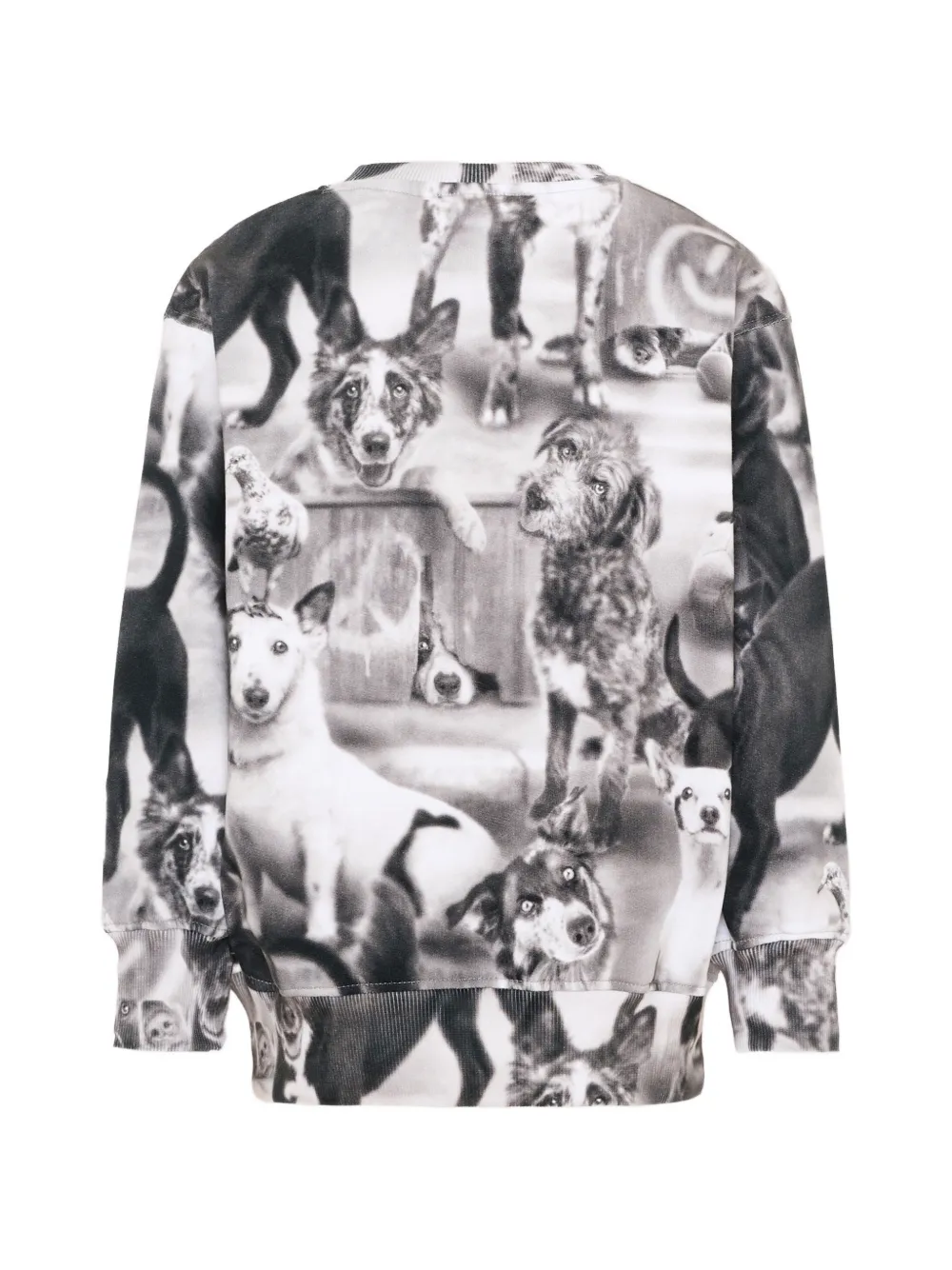 Molo Mattis dog-print sweatshirt Wit