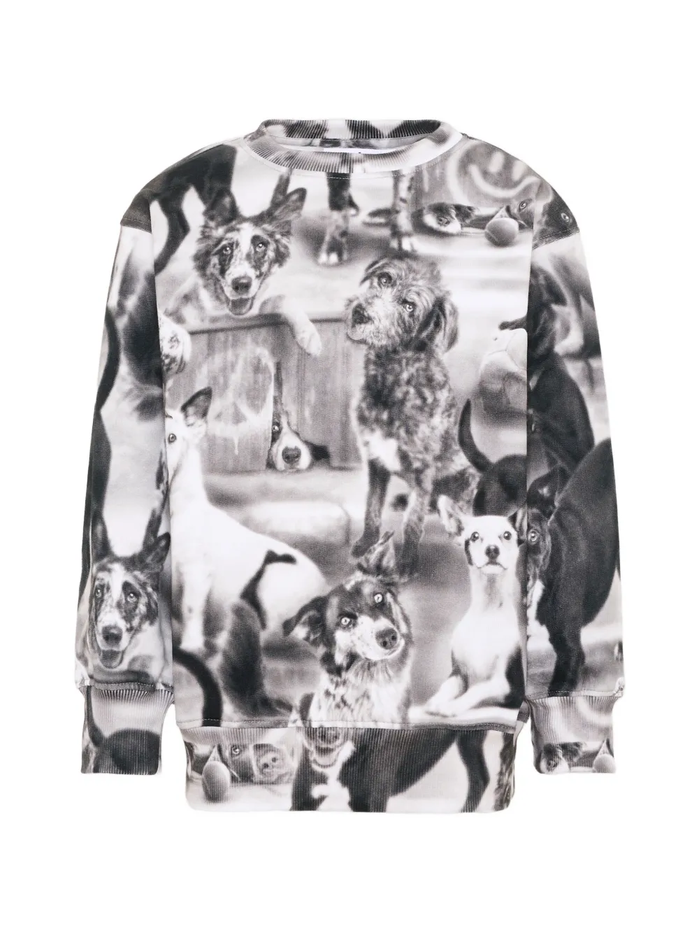 Molo Mattis dog-print sweatshirt - Bianco