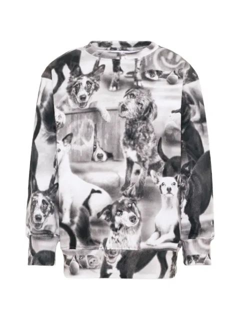 Molo Mattis dog-print sweatshirt