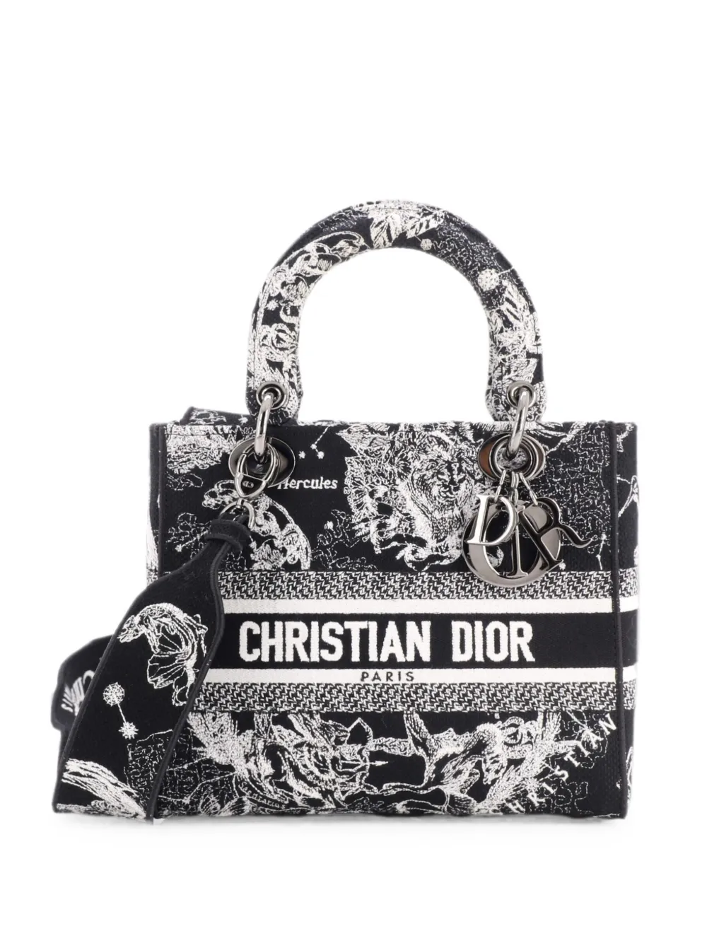 Christian Dior Pre-Owned Lady D-Lite Bag Embroidered Canvas Medium satchel - Black