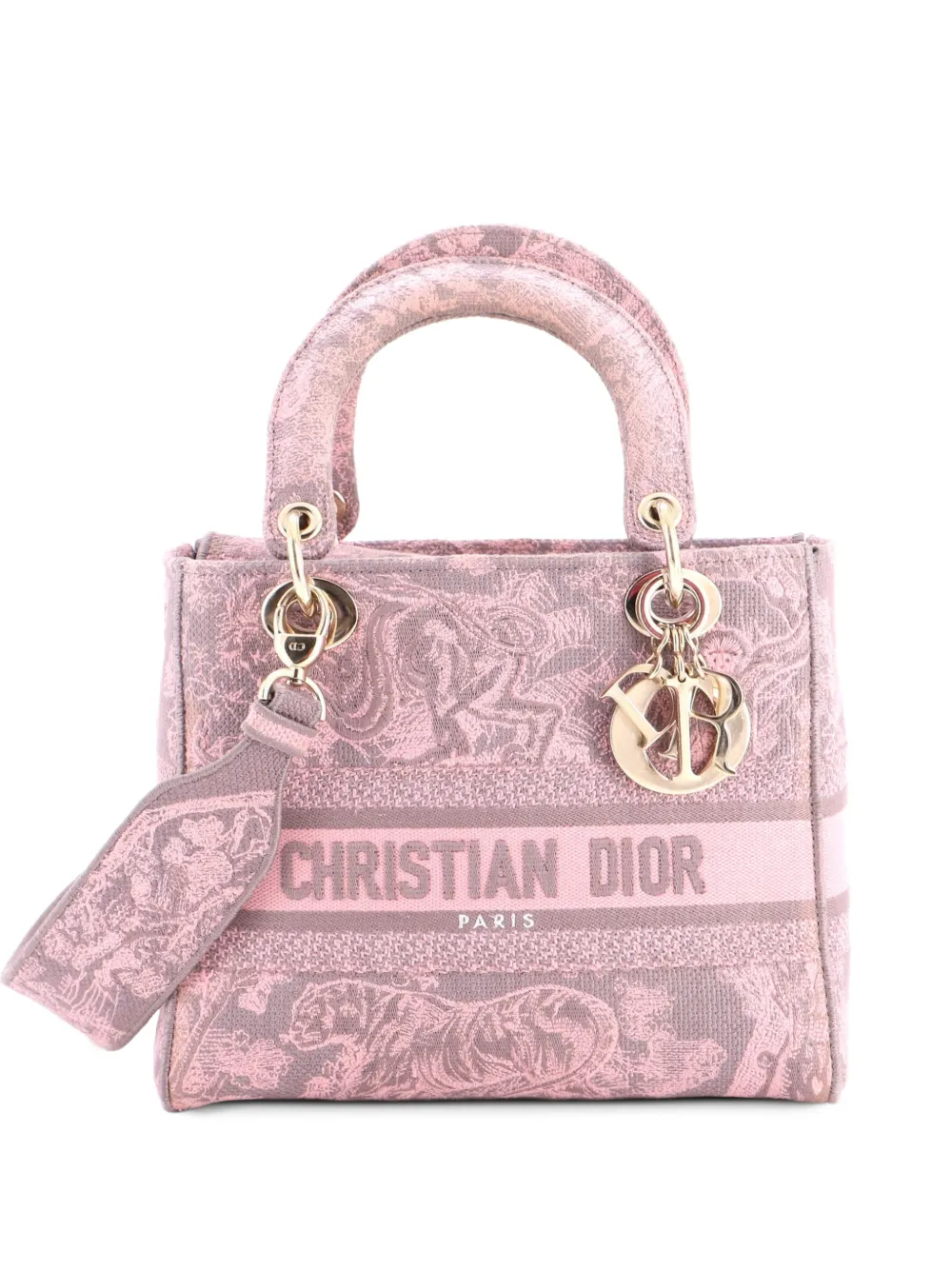 Christian Dior Pre-Owned Lady D-Lite Bag Embroidered Canvas Medium satchel - Rosa