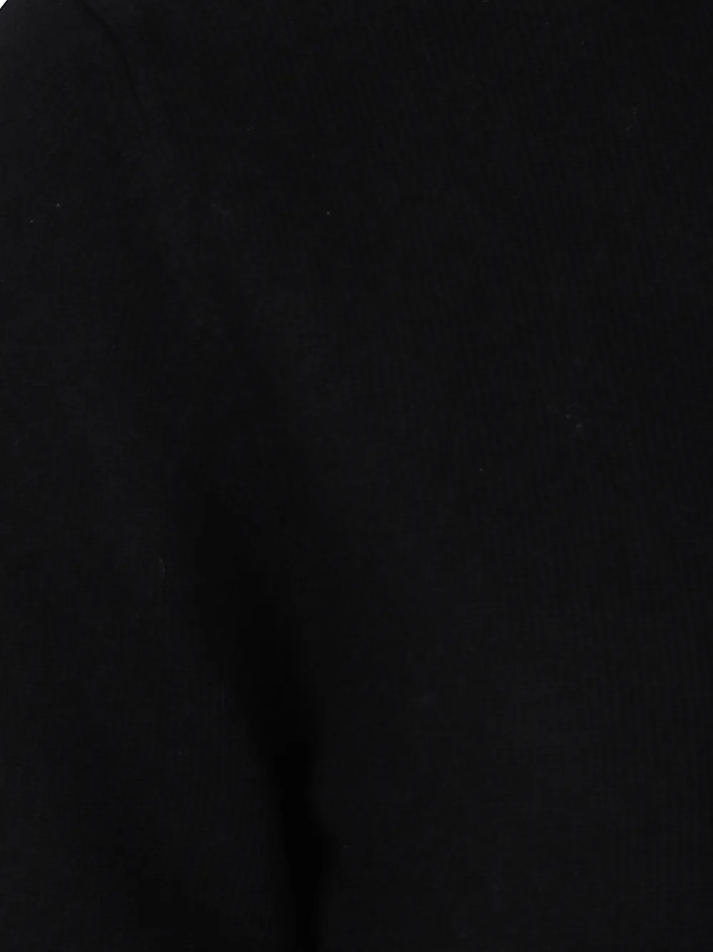 Allude short-sleeve roll-neck T-shirt Zwart