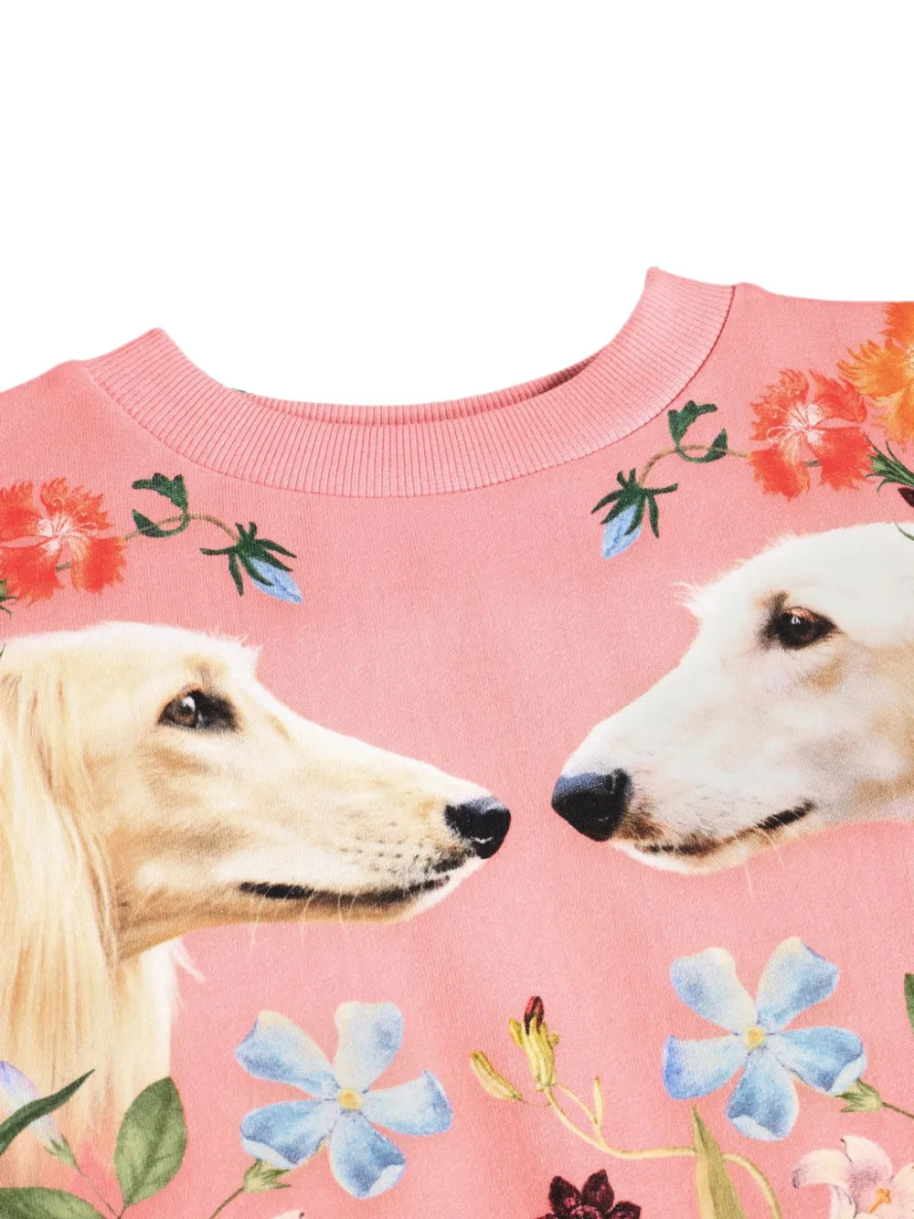Molo dog-print floral-pattern sweater Roze