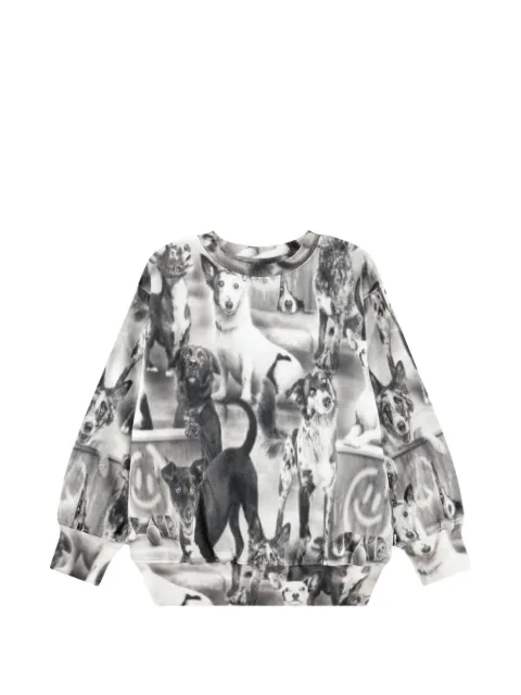 Molo dog-print cotton sweater