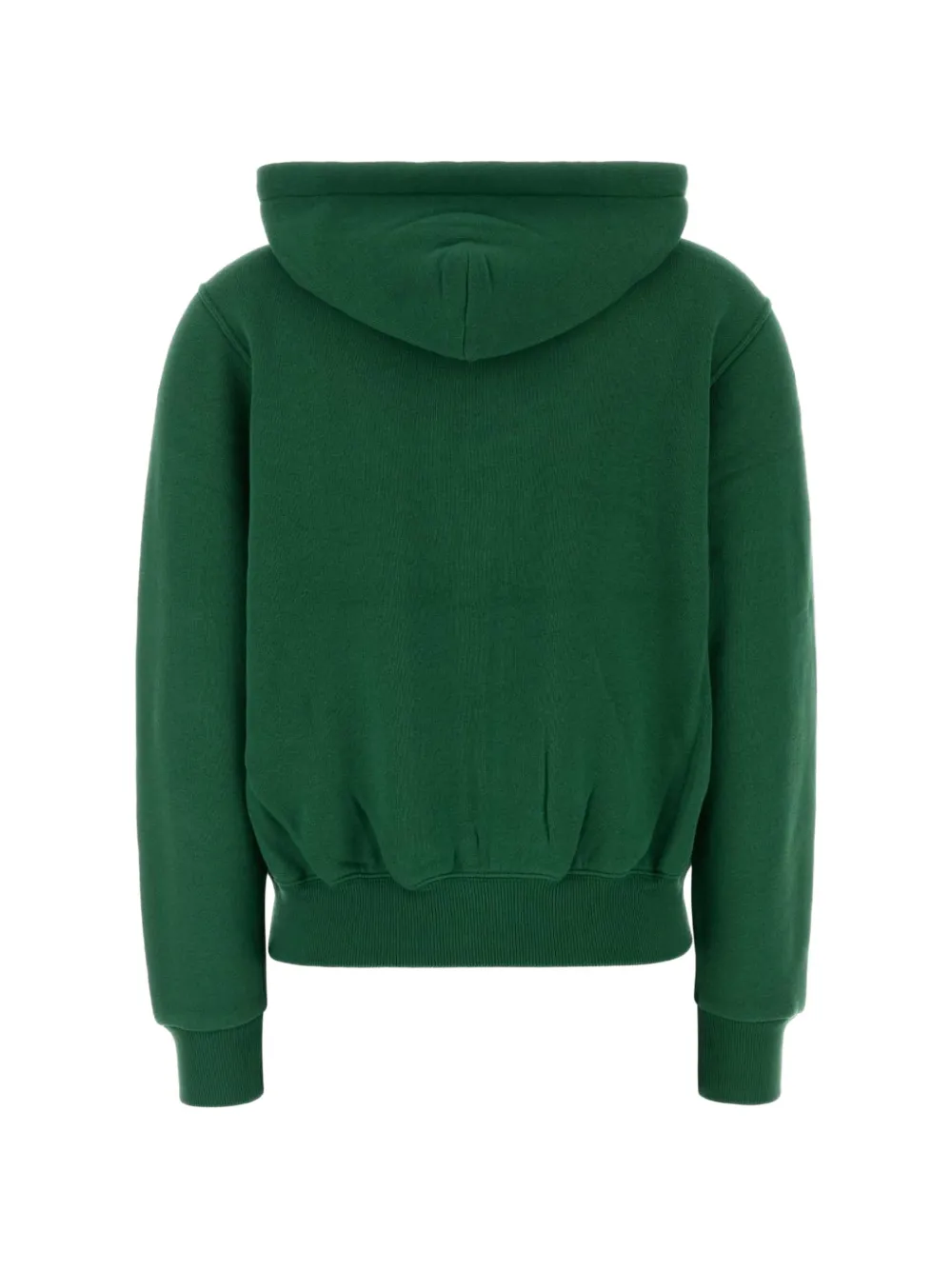 Polo Ralph Lauren Hoodie met geborduurd logo en rits Groen